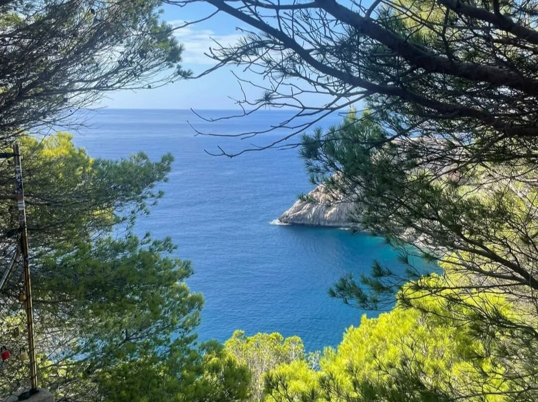 Cala Gat-Cala Ratjada必去景点