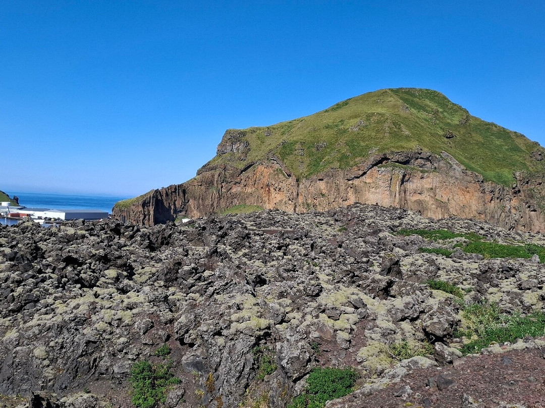 Hop On Hop Off Vestmannaeyjar-韦斯特曼纳群岛必去景点