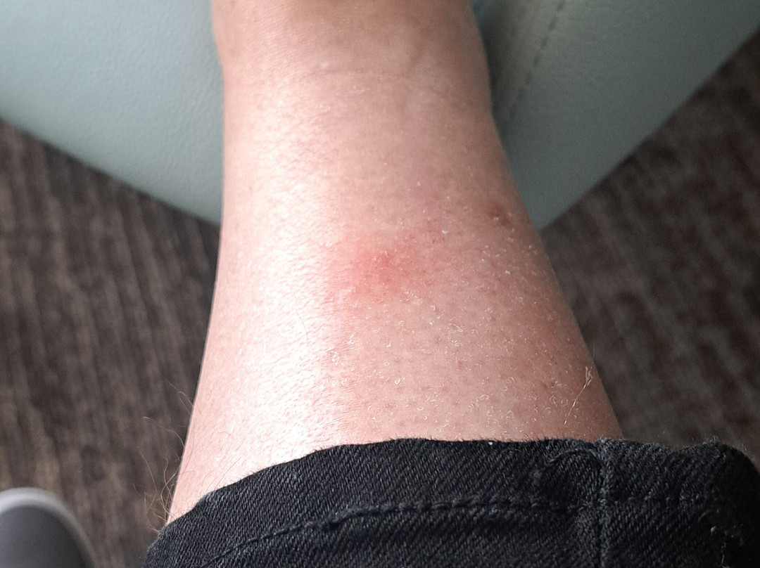 Heritage Inn Hotel & Convention Centre主图