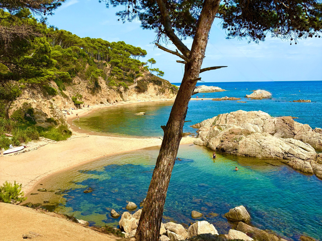 Cala Estreta-Palamos必去景点