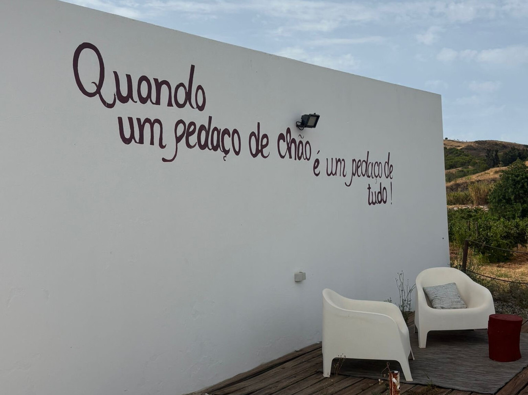 Quinta de Sao Gabriel主图