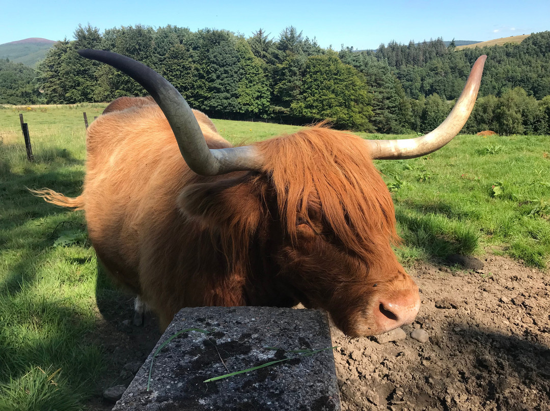 卡杜乡村别墅酒店主图