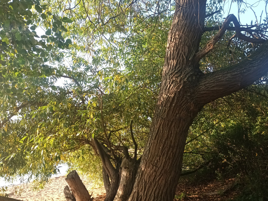 STF Baskemolla Vandrarhem B&B主图