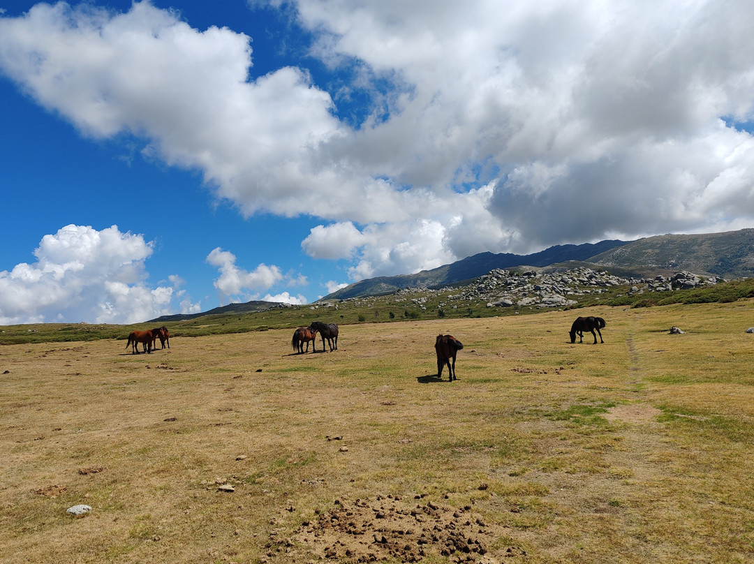 Plateau de Coscione-Aullene必去景点