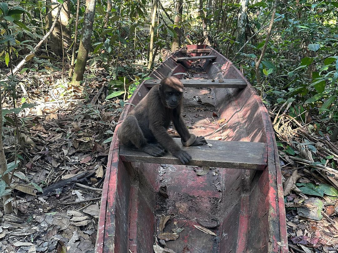 Amazon Fronteras Jungle Tours-莱蒂西亚必去景点