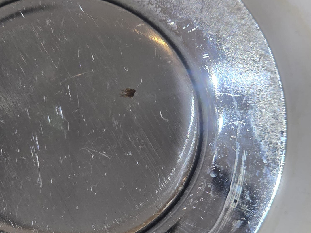 Travelodge Sittingbourne主图