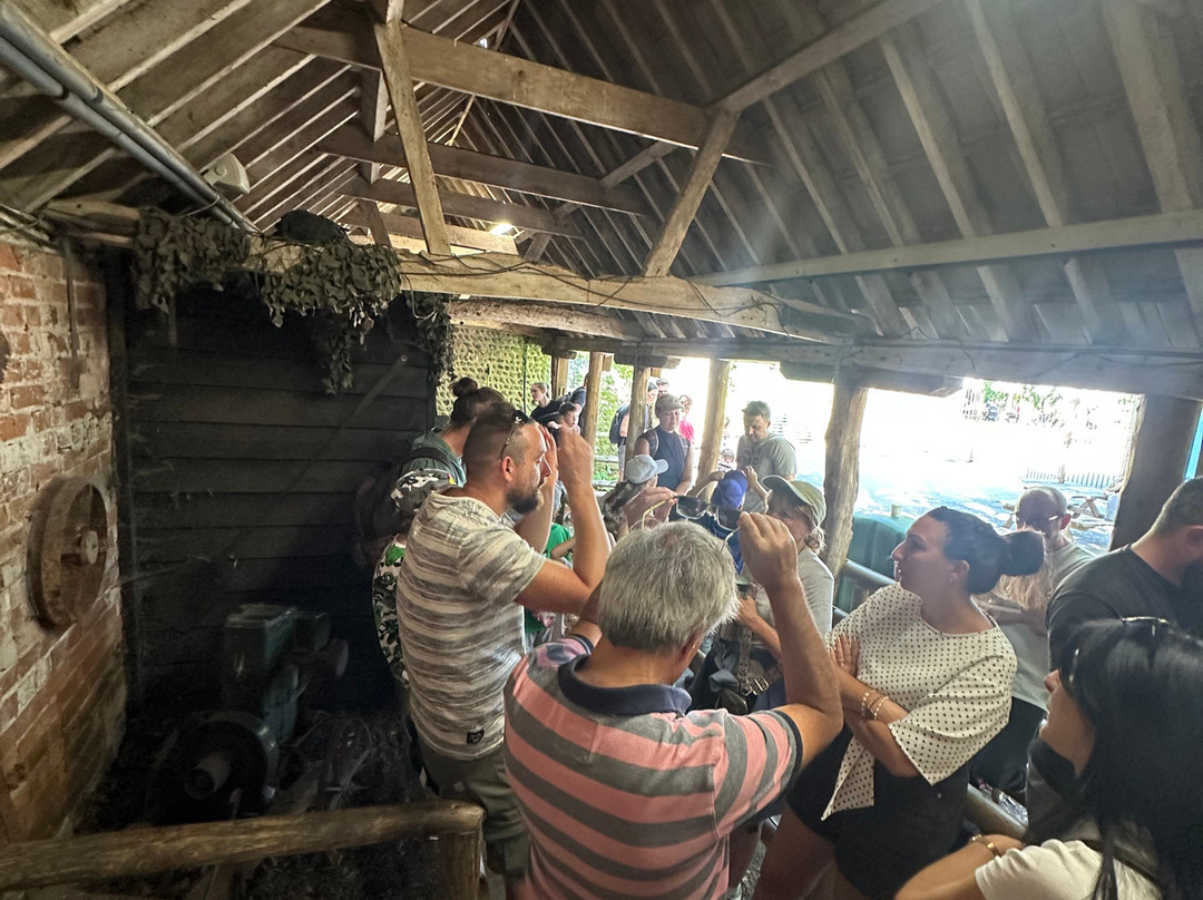 Knockhatch Adventure Park-Hailsham必去景点