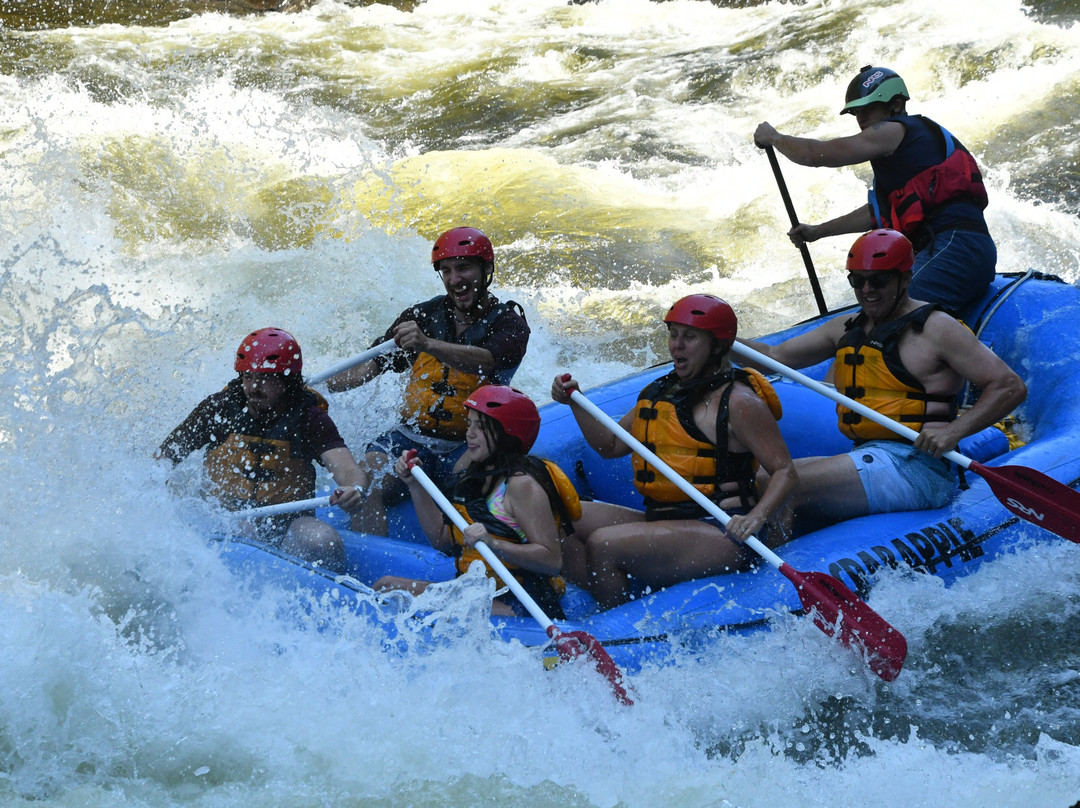 Crab Apple Whitewater-The Forks必去景点