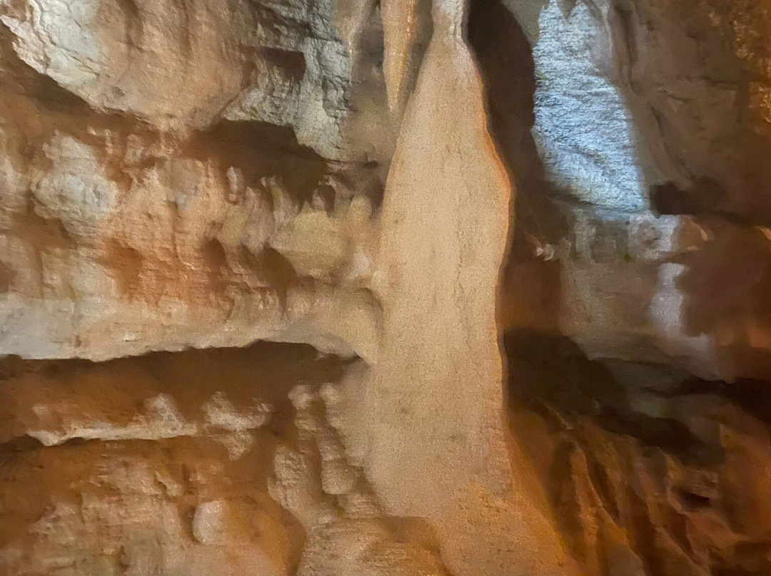 Grotte de Baume Obscure-Saint-Vallier-de-Thiey必去景点