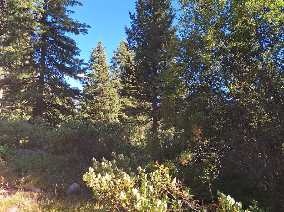 Ya-Hoo Corrals-McCall必去景点