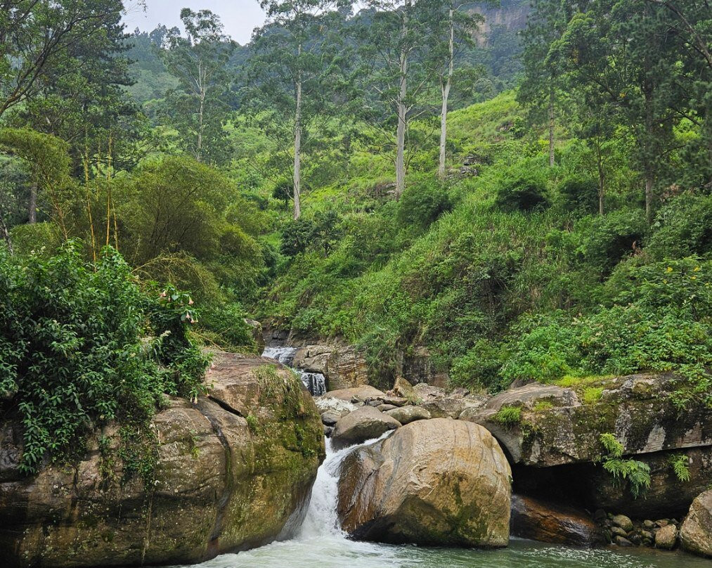 Tour Guide in Sri Lanka-尼甘布必去景点