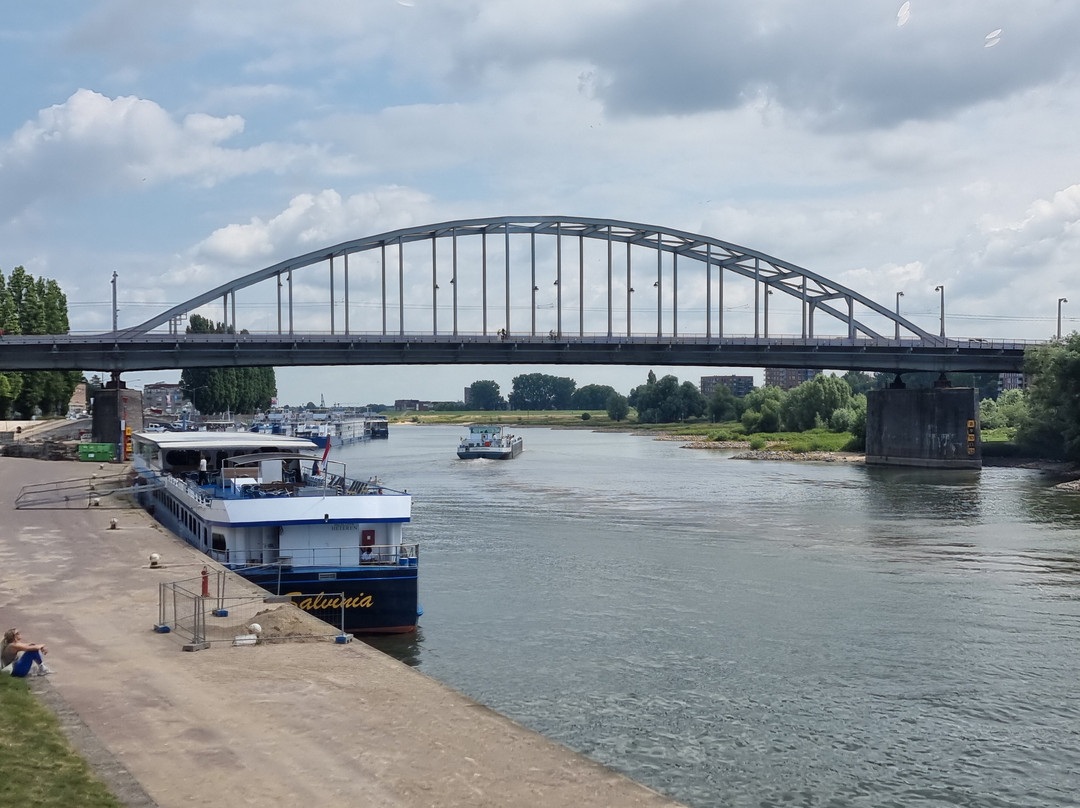 Holland Bike Tours-哈勒姆必去景点