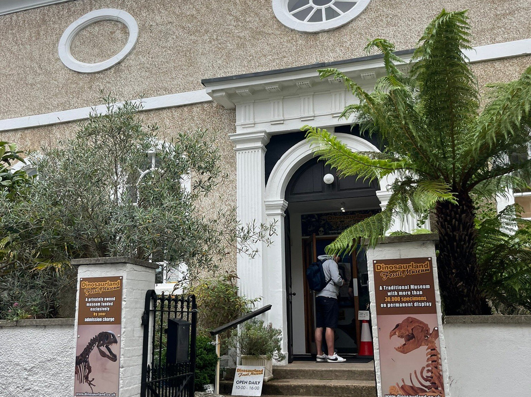 Dinosaurland Fossil Museum-莱姆里杰斯必去景点