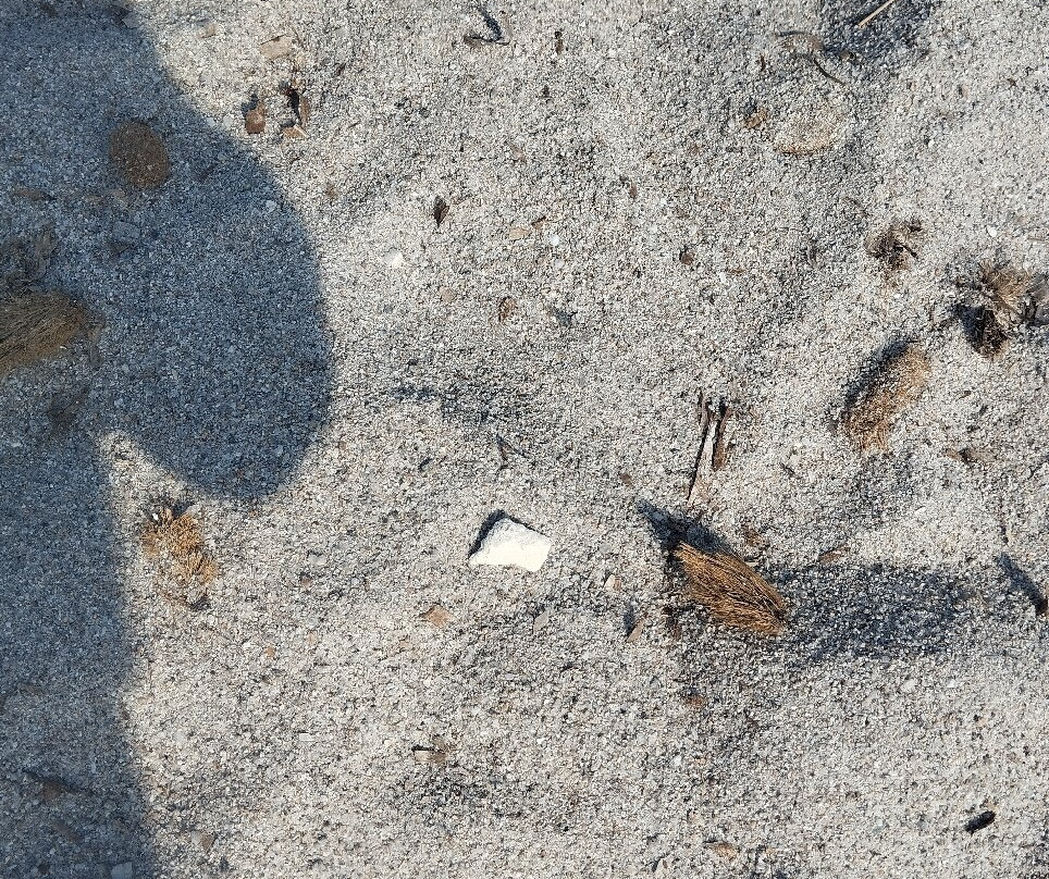 Spiaggia di Lu Impostu-San Teodoro必去景点