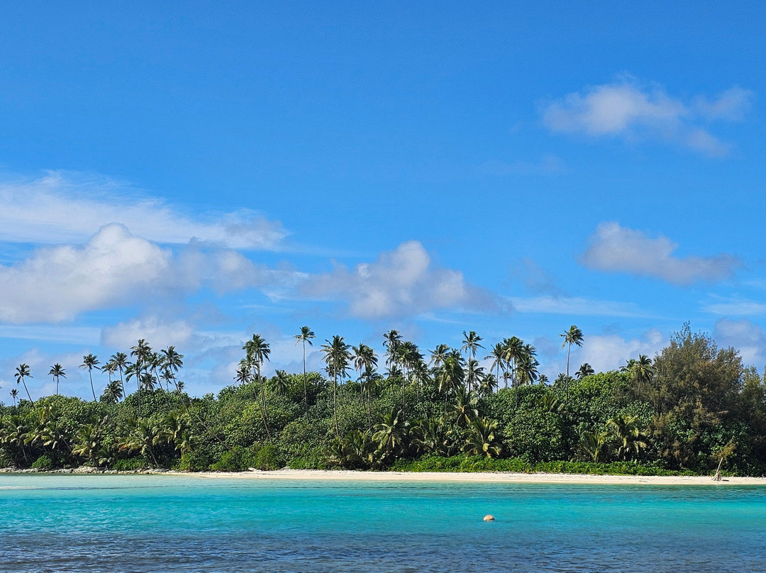 Raro Mountain Safari Tour-拉罗汤加必去景点