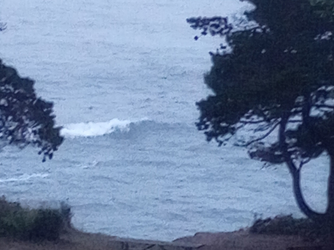 Travelodge by Wyndham Depoe Bay主图