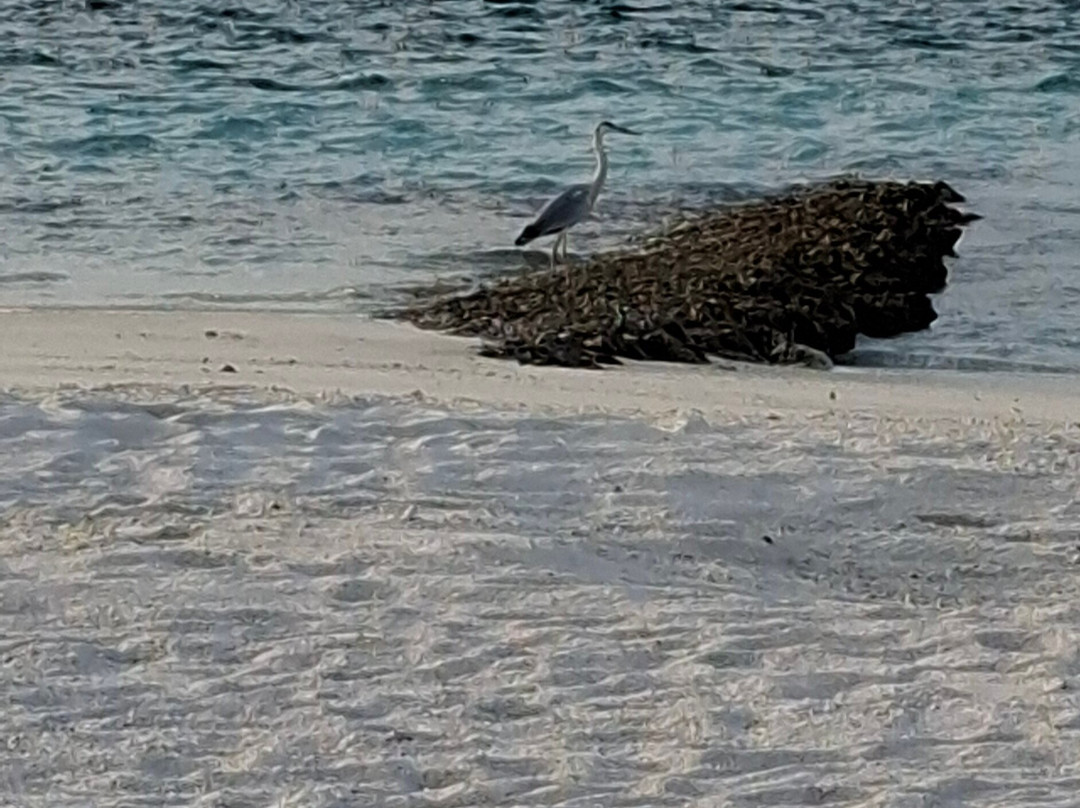 Sunset Seat-Gadifuri必去景点