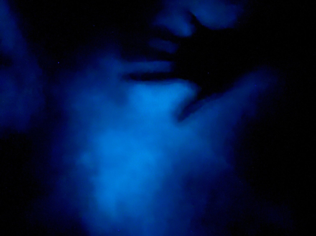 Cayman Kayaks-Rum Point必去景点