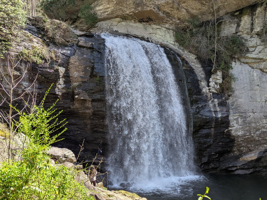Looking Glass Falls-Pisgah Forest必去景点