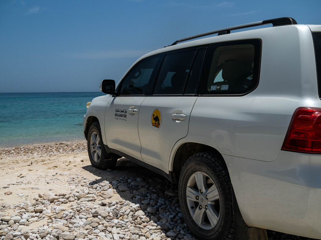 Desert Camels Adventure Tours-尼日瓦必去景点