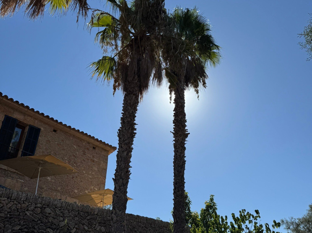 Casal Santa Eulàlia主图