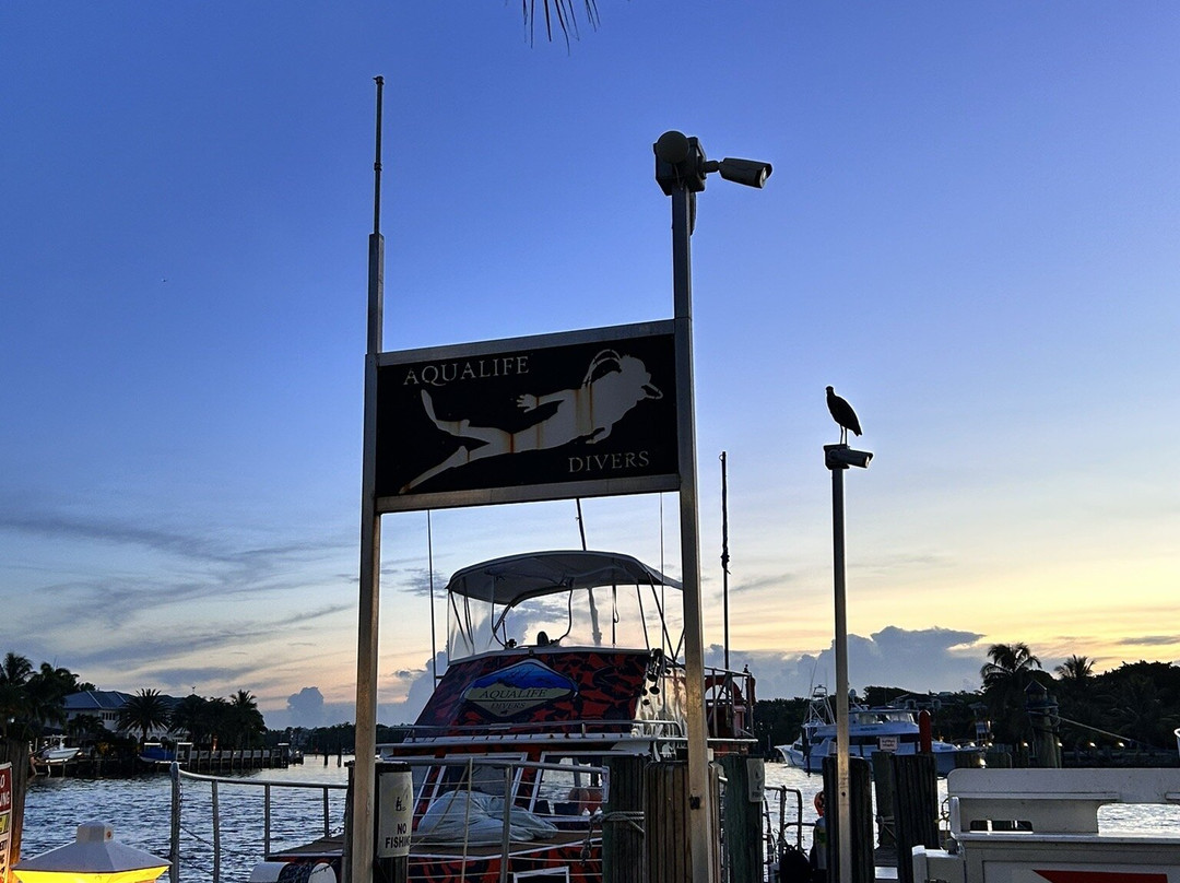 AquaLife Divers-庞帕诺比奇必去景点