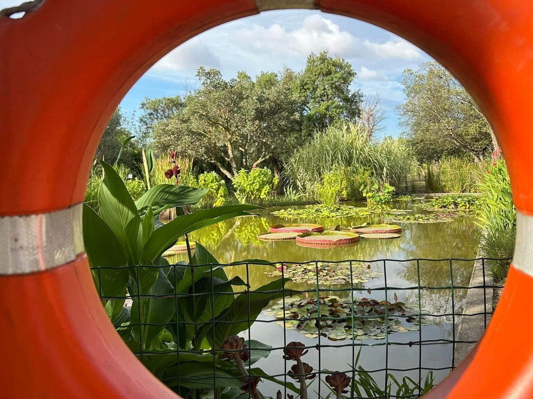 L'Arboretum-卡内鲁西永必去景点