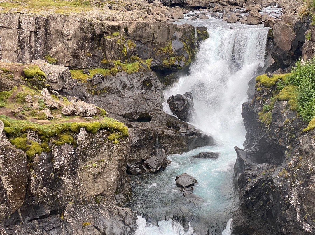 Sveinsstekksfoss-Djupivogur必去景点
