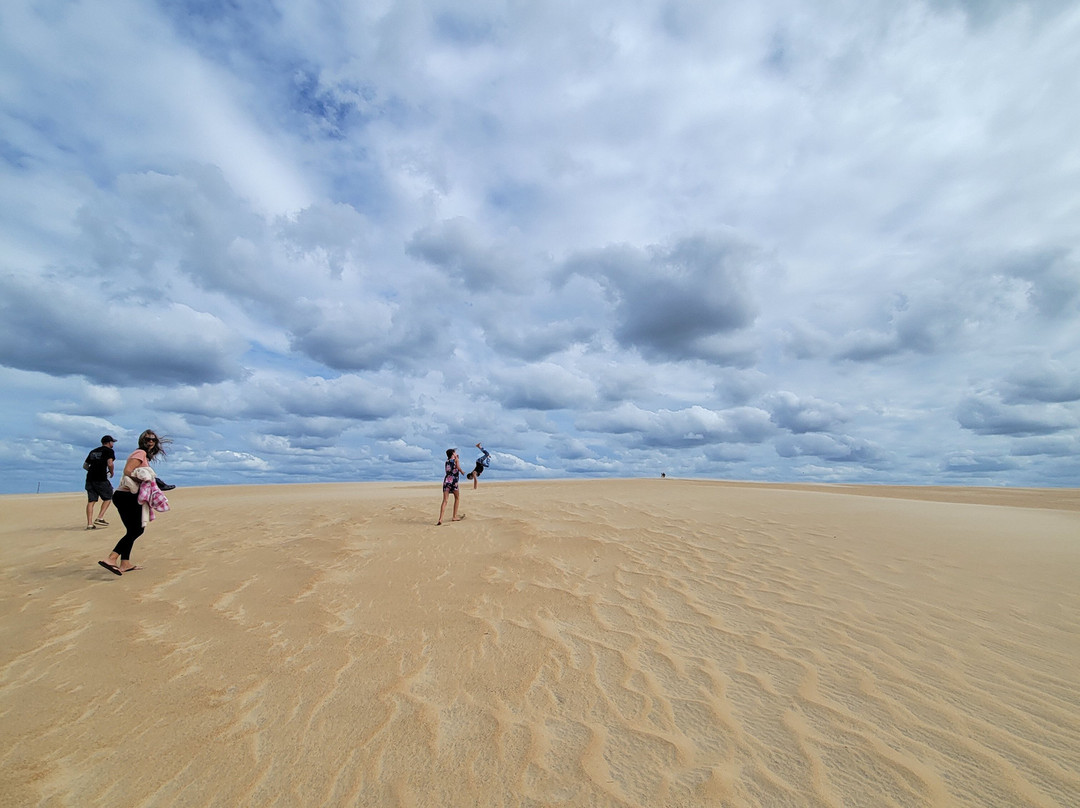 Jockey's Ridge State Park-纳格斯海德必去景点