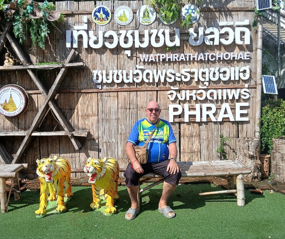 Wat Phra That Cho Hae-帕必去景点