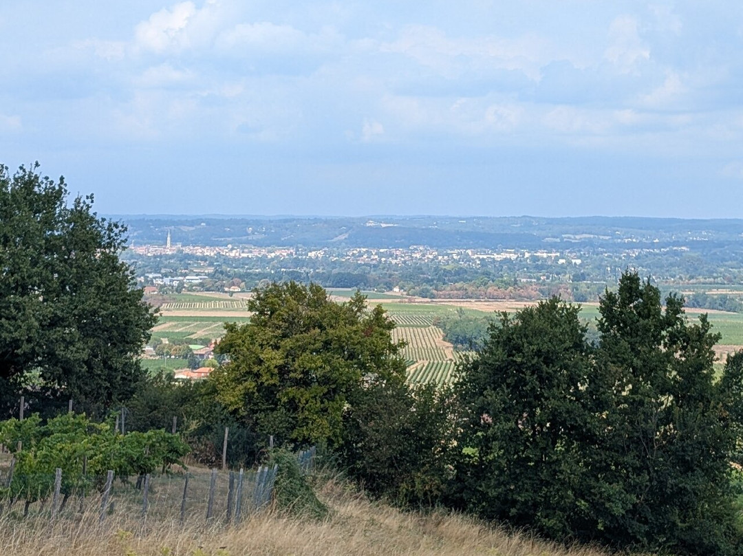 Château de Monbazillac-Monbazillac必去景点