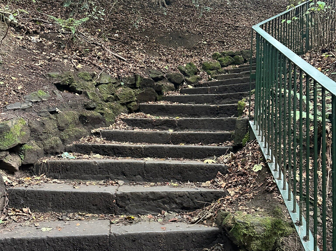 Pittencrieff Park-丹弗姆林必去景点