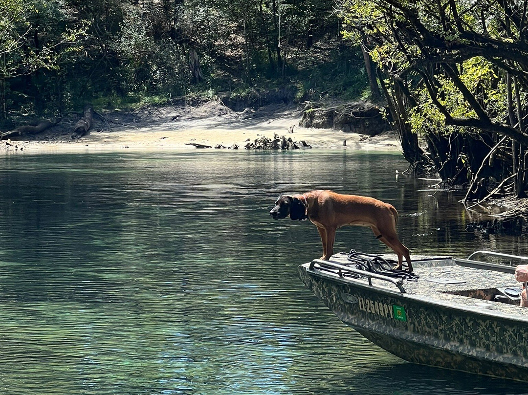 Backwater Tours-圣罗萨海滩必去景点