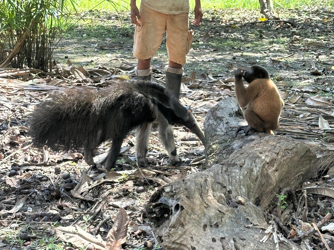Amazon Andes Expedition-伊基托斯必去景点