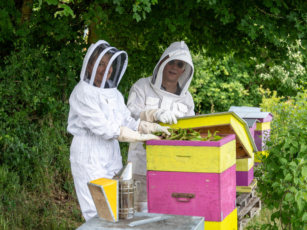 Ferme Fruirouge-夜圣乔治必去景点