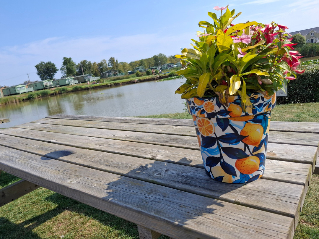 Heron's Mead Caravan Park & Fishing Lakes-斯凯格内斯必去景点