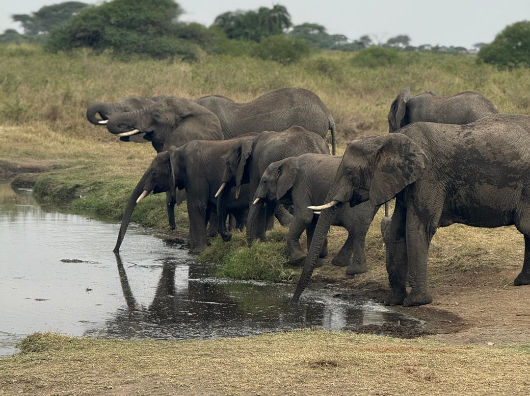 GMExpeditions-阿鲁沙必去景点