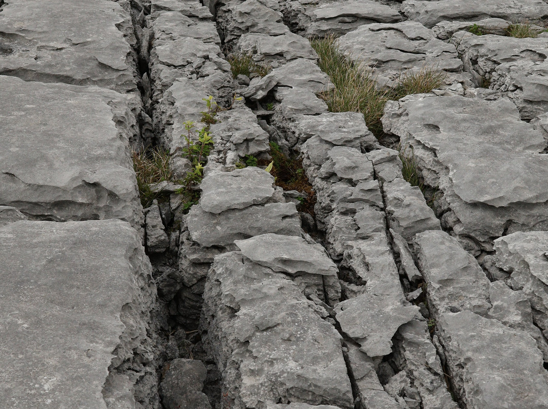 Burren Mountain Tours-Fanore必去景点