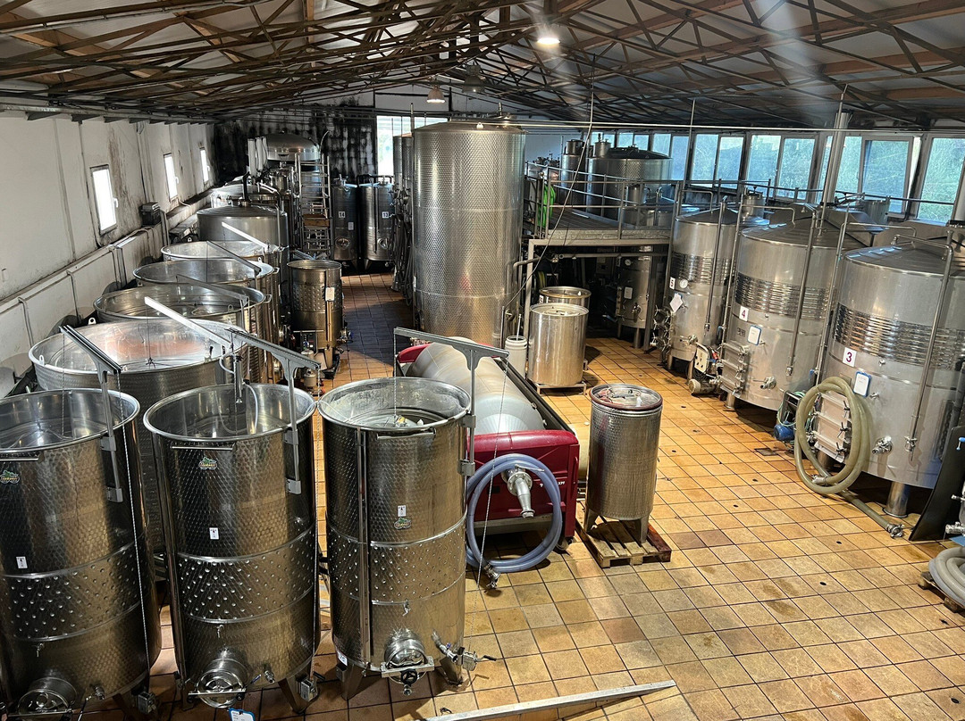 Bodega Castell Miquel-Alaró必去景点