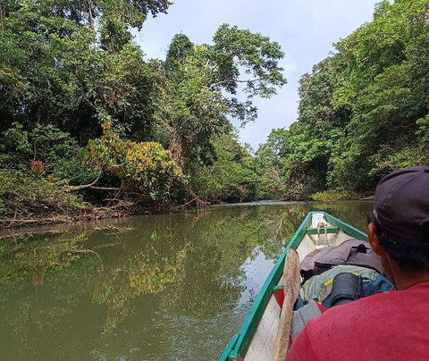 Borneo Eco Adventure-巴厘巴板必去景点