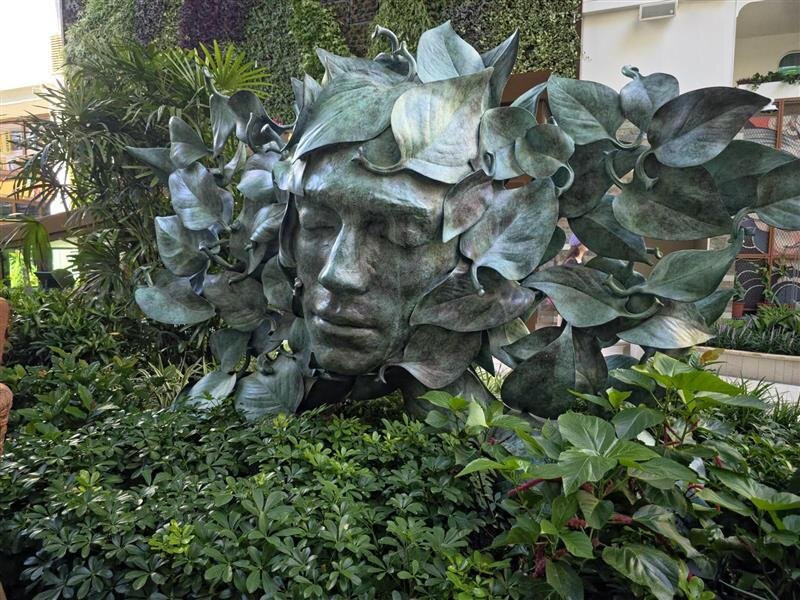 Go Port-卡纳维拉尔港必去景点