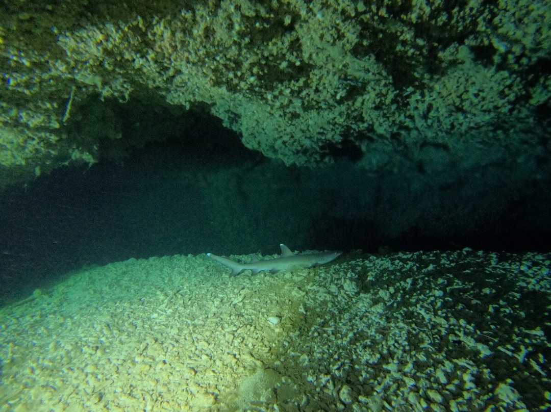 Miyakojima Diving Shop Guide-Ya-San-宫古岛市必去景点