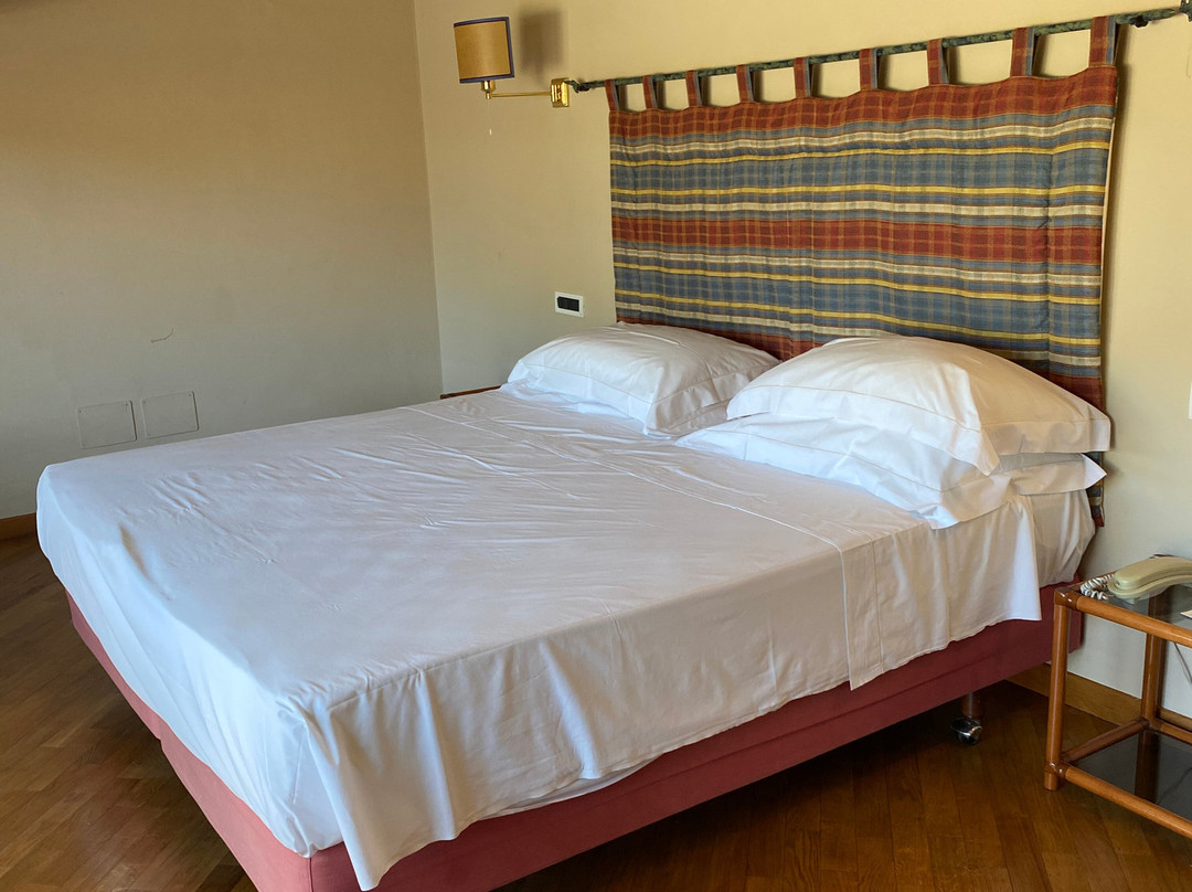 Hotel Villa Undulna Terme della Versilia主图