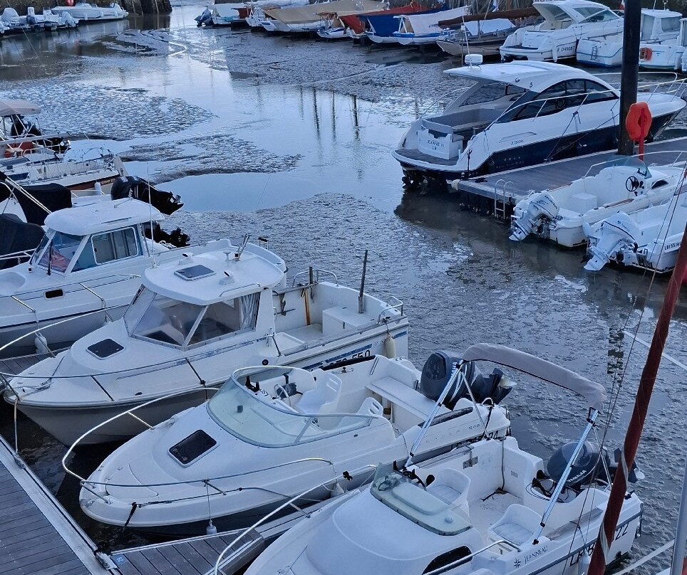 Hotel Le Français主图