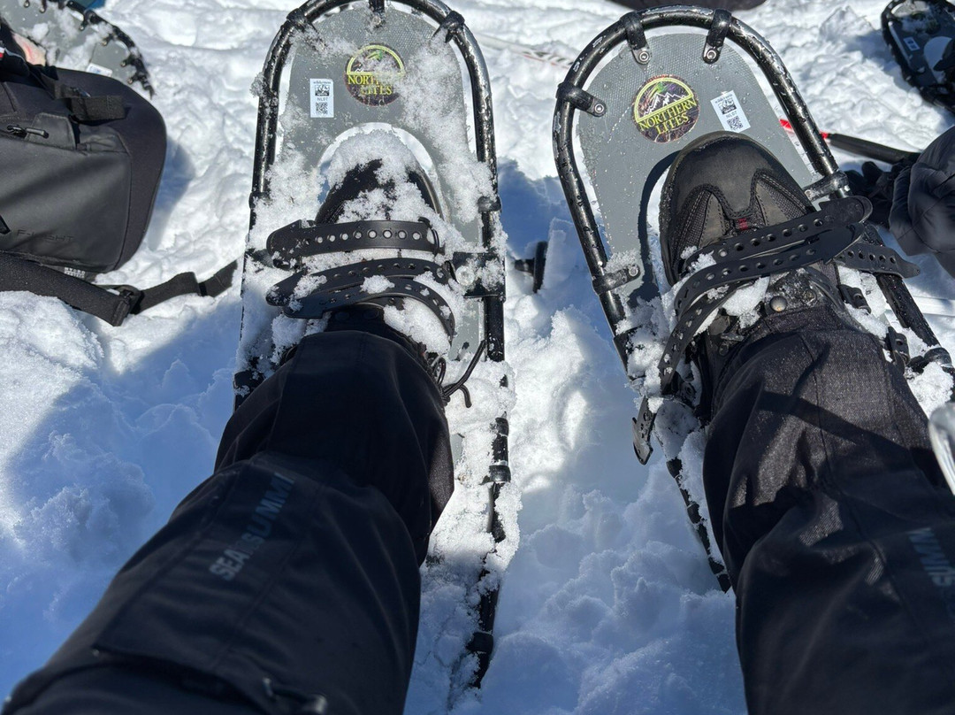 GirlsTrek-布里斯班必去景点