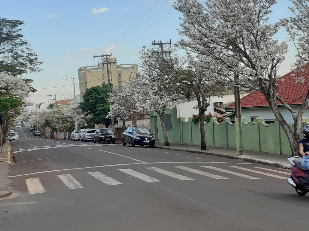 Castelo Japonês - Memorial da Imigração Japonesa-Assai必去景点