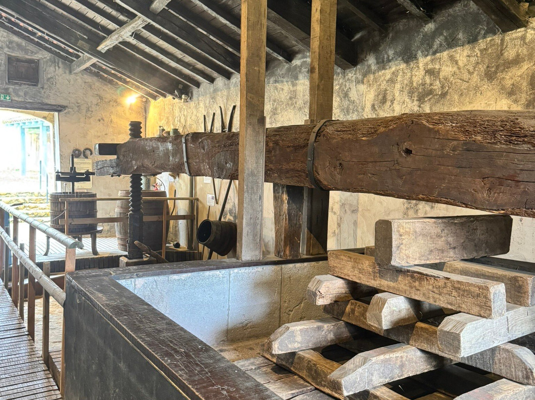 MUSEE DE LA CHALOSSE-Montfort-en-Chalosse必去景点