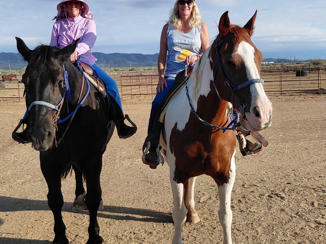 KOLI Equestrian Center-钱德勒必去景点