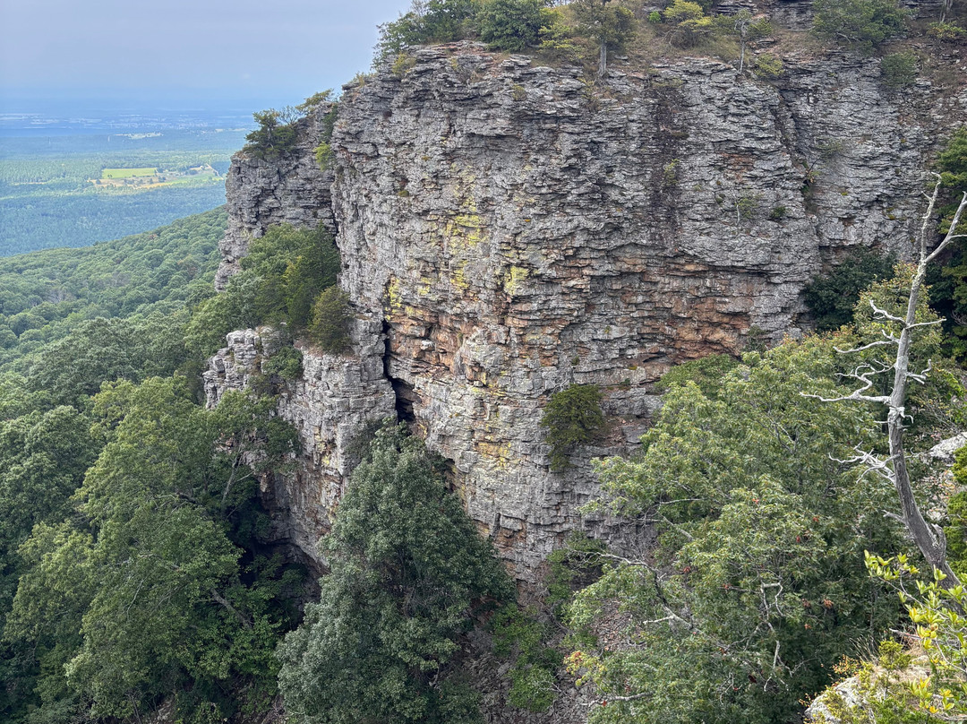 The Lodge at Mount Magazine主图