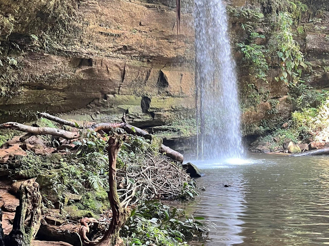 Jalapão Gaviões do Cerrado-Ponte Alta do Tocantins必去景点